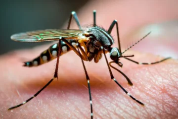 کھجلی کو کھجانے سے مسئلہ کیوں بڑھ جاتا ہے؟