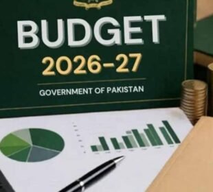 وفاقی بجٹ 10 جون کو پیش کیے جانے کا امکان 10 وفاقی بجٹ 10 جون کو پیش کیے جانے کا امکان