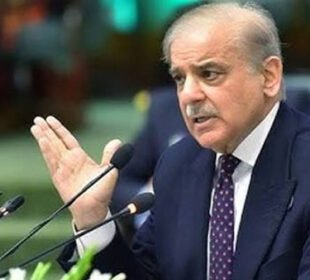 وزیراعظم شہباز شریف کی “اپنا گھر اسکیم” میں سہولیات مزید بڑھانے کی ہدایت 10 وزیراعظم شہباز شریف کی “اپنا گھر اسکیم” میں سہولیات مزید بڑھانے کی ہدایت