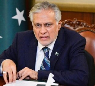 پاکستان کو تنہا کرنے کی کوششیں ناکام ہو چکی ہیں: نائب وزیراعظم