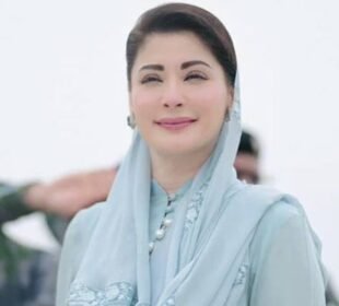 مریم نواز شریف کی قیادت میں پنجاب: ترقی، عوامی خدمت اور جدید طرزِ حکمرانی کا نیا دور 5 مریم نواز شریف کی قیادت میں پنجاب: ترقی، عوامی خدمت اور جدید طرزِ حکمرانی کا نیا دور