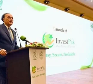 حکومت کا ’انویسٹ پاک‘ پورٹل متعارف، 5 ہزار روپے سے سرمایہ کاری کی سہولت 1 حکومت کا ’انویسٹ پاک‘ پورٹل متعارف، 5 ہزار روپے سے سرمایہ کاری کی سہولت