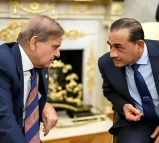 وزیراعظم اور آرمی چیف سمیت اعلیٰ قیادت نیشنل پاپولیشن کونسل میں شامل 3 وزیراعظم اور آرمی چیف سمیت اعلیٰ قیادت نیشنل پاپولیشن کونسل میں شامل