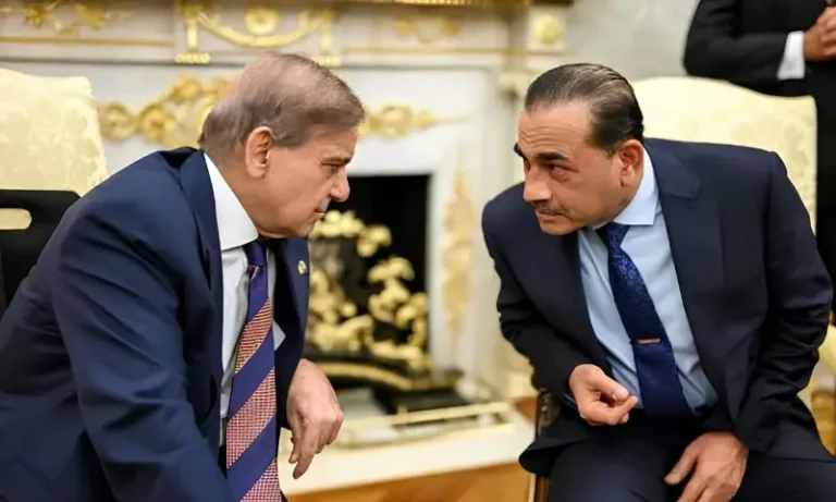 0809300وزیراعظم اور آرمی چیف سمیت اعلیٰ قیادت نیشنل پاپولیشن کونسل میں شامل47c57f3c