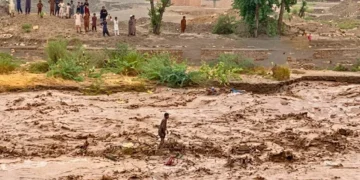 ملک کے بالائی علاقوں میں موسلا دھار بارشوں سے تباہی، 12 افراد جاں بحق، کئی علاقے زیر آب 2 ملک کے بالائی علاقوں میں موسلا دھار بارشوں سے تباہی، 12 افراد جاں بحق، کئی علاقے زیر آب