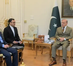 ایران-امریکا کشیدگی: وزیراعظم شہباز شریف اور ایرانی وزیر داخلہ کی ملاقات، مذاکرات پر زور