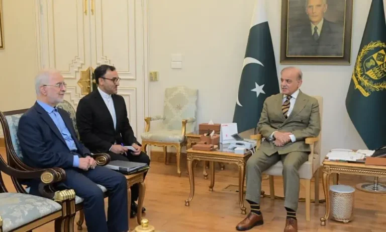 21182249ایران-امریکا کشیدگی: وزیراعظم شہباز شریف اور ایرانی وزیر داخلہ کی ملاقات، مذاکرات پر زورe4fe857