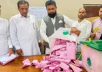 میرپور ڈویژن میں (ن) لیگ کی تاریخی برتری، پیپلز پارٹی صرف 4 نشستوں تک محدود