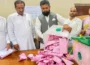 میرپور ڈویژن میں (ن) لیگ کی تاریخی برتری، پیپلز پارٹی صرف 4 نشستوں تک محدود