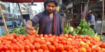 "ایک کلو ٹماٹر یا قیمتی خزانہ؟ کراچی میں نرخ آسمان پر" 8 "ایک کلو ٹماٹر یا قیمتی خزانہ؟ کراچی میں نرخ آسمان پر"