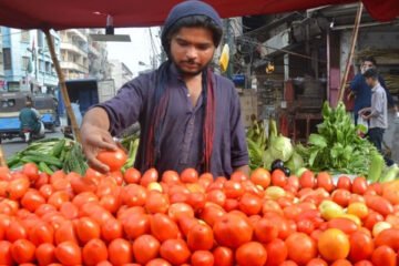"ایک کلو ٹماٹر یا قیمتی خزانہ؟ کراچی میں نرخ آسمان پر"