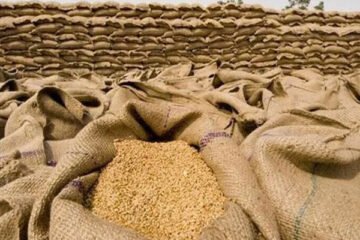 گندم بحران کا نیا خدشہ؟ ذخیرہ اندوزی کے باعث قیمتیں آسمان پر