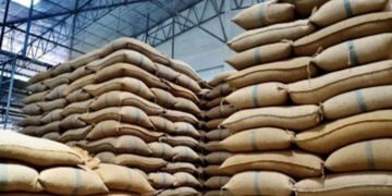 پنجاب سے 45 لاکھ ٹن، سندھ سے 6 لاکھ ٹن گندم کہاں گئی؟ بڑا انکشاف 29 پنجاب سے 45 لاکھ ٹن، سندھ سے 6 لاکھ ٹن گندم کہاں گئی؟ بڑا انکشاف