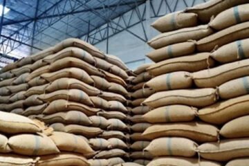 پنجاب سے 45 لاکھ ٹن، سندھ سے 6 لاکھ ٹن گندم کہاں گئی؟ بڑا انکشاف