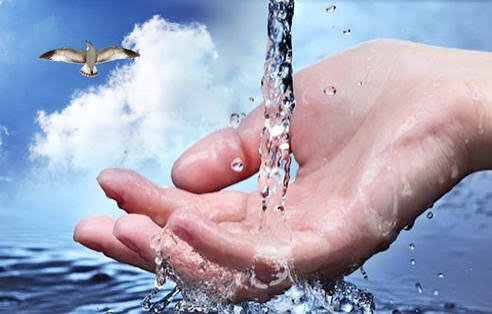 زندگی کی بنیاد کو لاحق سب سے بڑا خطرہ