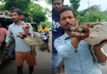 کسان زندہ مگرمچھ کو کندھے پر اٹھا کر تھانے پہنچ گیا، ویڈیو سوشل میڈیا پر وائرل
