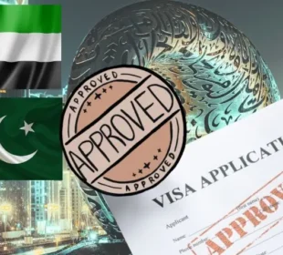 یو اے ای نے پاکستانی شہریوں کے لیے وزٹ ویزا کے اجرا میں نرمی کردی