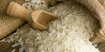باسمتی چاول: آسٹریلیا میں بھارتی ادارے کی اپیل مسترد، پاکستان کا مؤقف برقرار
