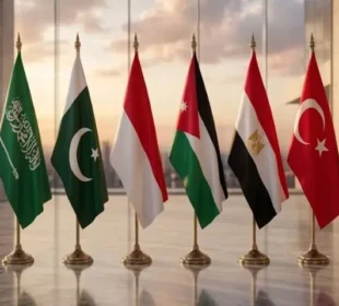 غزہ امن منصوبے پر عملدرآمد میں رکاوٹ، 8 مسلم ممالک کی اسرائیل پر کڑی تنقید 7 غزہ امن منصوبے پر عملدرآمد میں رکاوٹ، 8 مسلم ممالک کی اسرائیل پر کڑی تنقید
