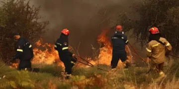 یونان: جنگلات میں آگ لگنے کے واقعے پر اسرائیلی سیاح گرفتار 29 یونان: جنگلات میں آگ لگنے کے واقعے پر اسرائیلی سیاح گرفتار