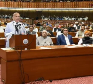 قومی اسمبلی میں بڑی قانون سازی، چیف آف ڈیفنس فورسز کے اختیارات میں غیرمعمولی اضافہ 9 قومی اسمبلی میں بڑی قانون سازی، چیف آف ڈیفنس فورسز کے اختیارات میں غیرمعمولی اضافہ