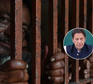 اڈیالہ جیل کے مزید قیدی نجی اسپتال میں علاج کے لیے عدالت پہنچ گئے 2 اڈیالہ جیل کے مزید قیدی نجی اسپتال میں علاج کے لیے عدالت پہنچ گئے