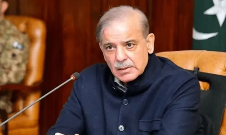 261329پمز سانحہ: نومولود بچوں کی ہلاکت پر وزیراعظم برہم، انکوائری کمیٹی قائم5321fcfe9