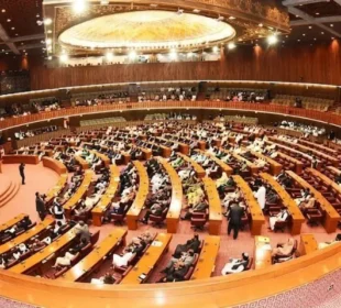 سانحہ پمز: قومی اسمبلی میں متفقہ قرارداد منظور، ذمہ داروں کے خلاف کارروائی کا مطالبہ
