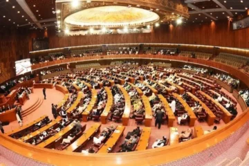 سانحہ پمز: قومی اسمبلی میں متفقہ قرارداد منظور، ذمہ داروں کے خلاف کارروائی کا مطالبہ