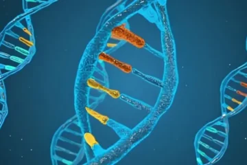 ایک خوراک سے کولیسٹرول میں نمایاں کمی، جین تھراپی نے نئی امید پیدا کردی