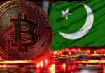 56 لاکھ ٹیکس دہندگان کے مقابلے میں 4 کروڑ کرپٹو اکاؤنٹس، بڑا سوال اٹھ گیا 11 56 لاکھ ٹیکس دہندگان کے مقابلے میں 4 کروڑ کرپٹو اکاؤنٹس، بڑا سوال اٹھ گیا
