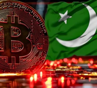 56 لاکھ ٹیکس دہندگان کے مقابلے میں 4 کروڑ کرپٹو اکاؤنٹس، بڑا سوال اٹھ گیا
