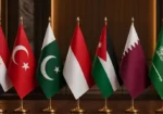 غزہ سے فلسطینیوں کی جبری بے دخلی مسترد، 8 اسلامی ممالک کا مشترکہ اعلامیہ