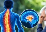 ریڑھ کی ہڈی کی کمزور کثافت ذہنی صلاحیت میں کمی سے منسلک، تحقیق