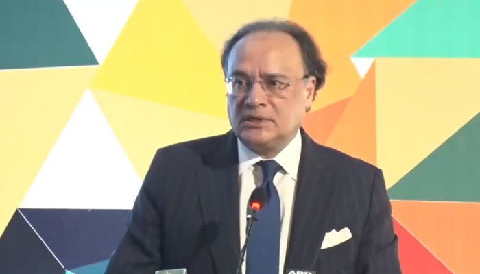 پاکستان کو دوبارہ معاشی اتار چڑھاؤ کا شکار نہیں ہونے دیں گے: وزیر خزانہ