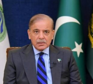 وزیراعظم شہباز شریف کی آٹو پالیسی 2026 کی منظوری، برآمدات اور الیکٹرک گاڑیوں پر خصوصی توجہ 6 وزیراعظم شہباز شریف کی آٹو پالیسی 2026 کی منظوری، برآمدات اور الیکٹرک گاڑیوں پر خصوصی توجہ