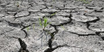 اگست 2026 عالمی تاریخ کا گرم ترین مہینہ قرار 10 اگست 2026 عالمی تاریخ کا گرم ترین مہینہ قرار