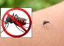 فرانس کے قصبے میں مچھروں کی پرواز پر پابندی، منفرد حکم نامہ جاری