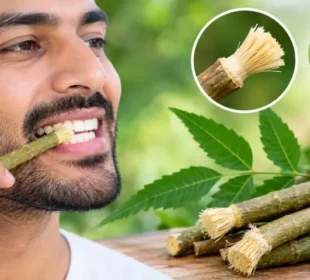 نیم کی مسواک دانتوں کے لیے کتنی مفید؟ ماہرین کی رائے اور اہم احتیاطیں 6 نیم کی مسواک دانتوں کے لیے کتنی مفید؟ ماہرین کی رائے اور اہم احتیاطیں