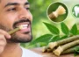 نیم کی مسواک دانتوں کے لیے کتنی مفید؟ ماہرین کی رائے اور اہم احتیاطیں