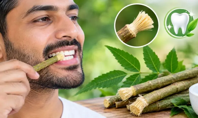 نیم کی مسواک دانتوں کے لیے کتنی مفید؟ ماہرین کی رائے اور اہم احتیاطیں