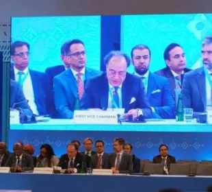 پاکستان بارورز پلیٹ فارم کی گورننگ کونسل کا چیئرمین منتخب
