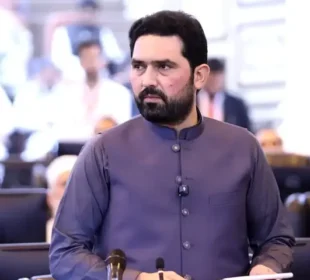 سہیل آفریدی کی نااہلی سے متعلق درخواست نمٹا دی گئی، آئینی عدالت کا فیصلہ