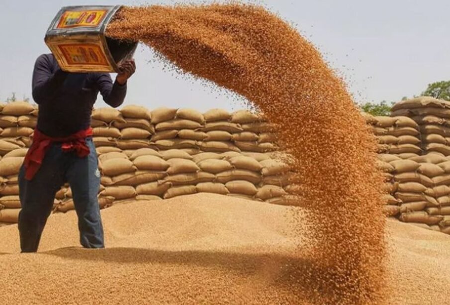 سال 2027 ءکیلیے گندم کی مجوزہ قیمت 4500 روپےفی من مقرر