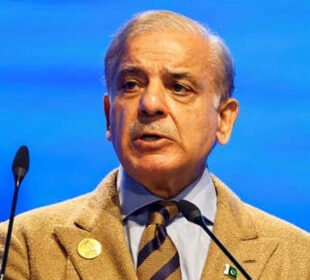 معاشی استحکام کے لیے سیاسی و عسکری تعاون ضروری ہے، وزیراعظم 3 معاشی استحکام کے لیے سیاسی و عسکری تعاون ضروری ہے، وزیراعظم