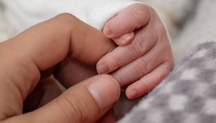 443618_23دنیا بھر میں شرح پیدائش میں نمایاں کمی، نوجوانوں کی ترجیحات تبدیل ہونے لگیں89883_updates