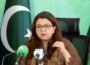پاکستان میں انٹرنیٹ کنیکٹیویٹی بہتر بنانے کے لیے نئی زیرِ سمندر کیبلز پر کام جاری