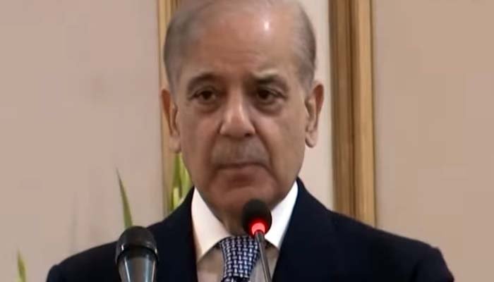 معاملات ہاتھ سے نکل رہے تھے؟ شہباز شریف نے گورنر راج کے نفاذ کی وجہ بتادی